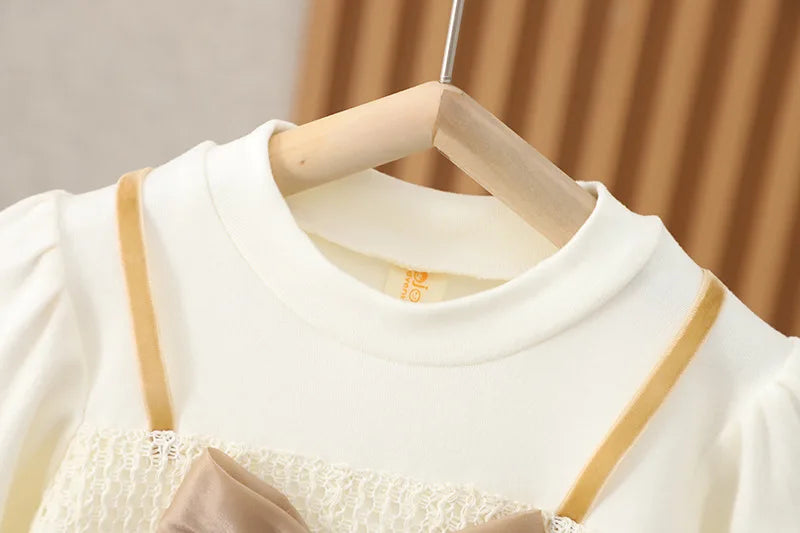 Long Sleeve Mesh Bow Lace  Dress